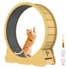Advwin Cat Exercise Wheel Toy Running Exerciser Treadmill Scratcher Board 90cm