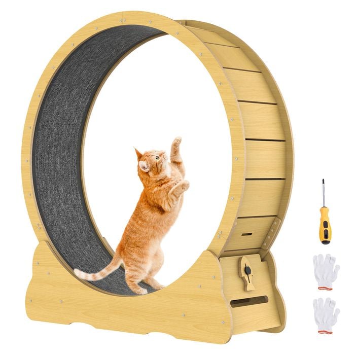 Advwin Cat Exercise Wheel Toy Running Exerciser Treadmill Scratcher Board 90cm