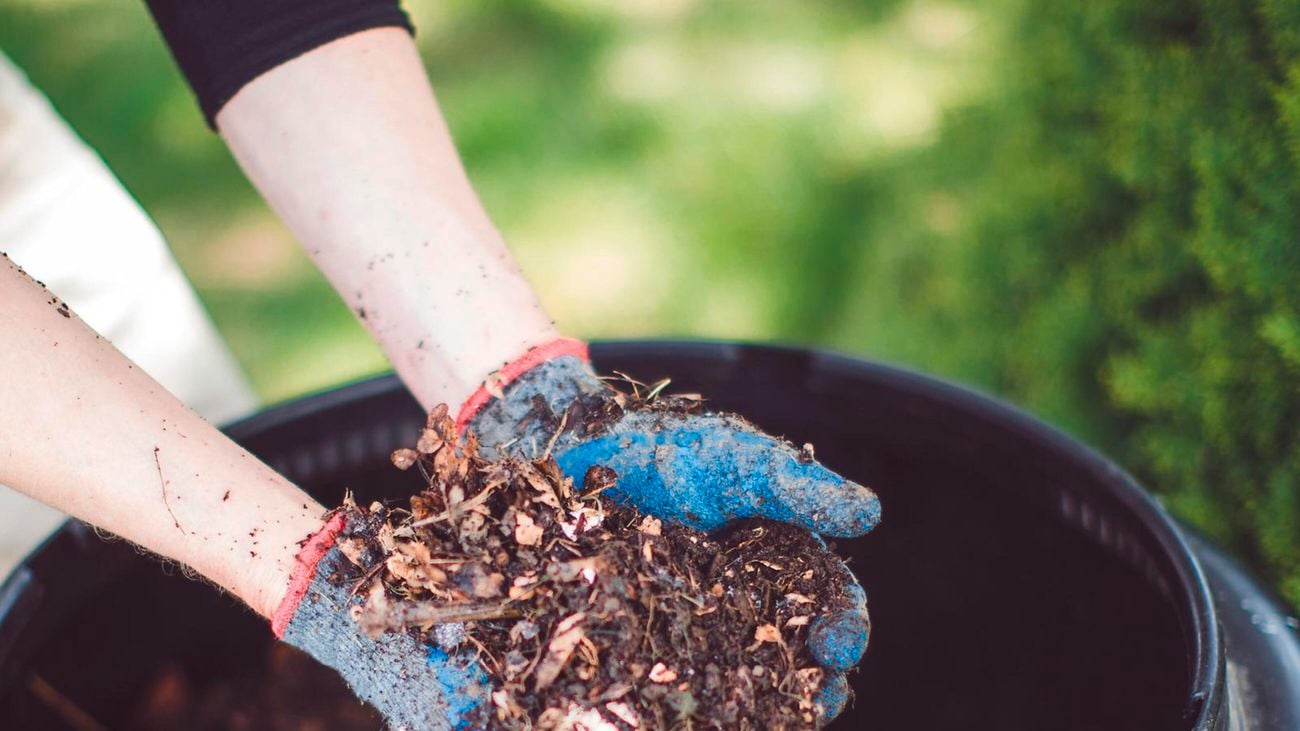 Hands wearing blue gardening gloves holds mulch over a soil bin