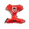 The Stubby Club St George Dragons NRL Licensed - Pet Harness - Extra Small