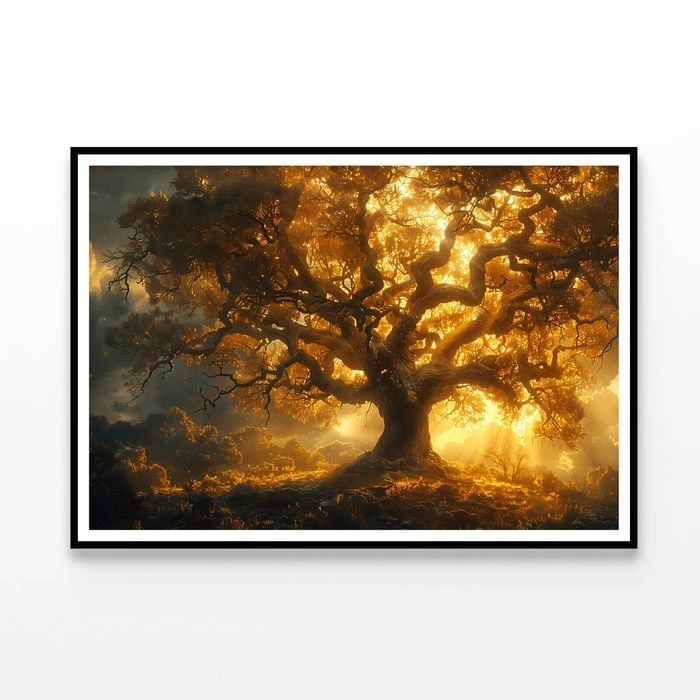 Sunset in the Forest View  Print 100% Australian Made 90x60cm  (Poster)