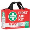 MediMate 250 Piece First Aid Kit