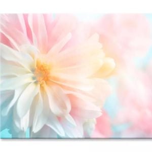 Flowers With Soft Colored Filters  Print 100% Australian Made 150 x 100cm  (Stretched)