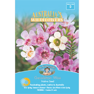 Mr Fothergill's Geraldton Wax Flower Seeds