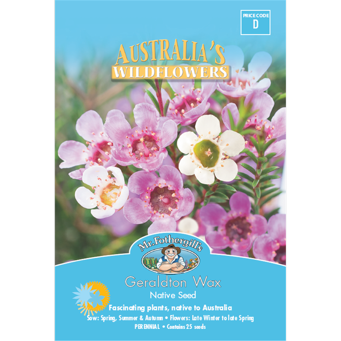 Mr Fothergill's Geraldton Wax Flower Seeds