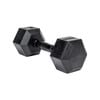 Sumo Strength Hex Dumbbell Panther Series - 5kg (single)