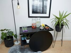 DIY bar cart with plants to the side.