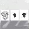 3pcs Charming Labrador Dog Black & White Print 100% Australian Made 3 x 40x60cm (Metal Print)
