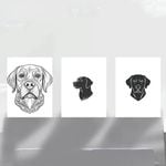 3pcs Charming Labrador Dog Black & White Print 100% Australian Made 3 x 40x60cm (Metal Print)
