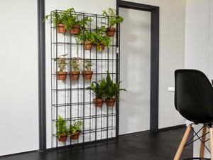 Indoor wire vertical garden.
