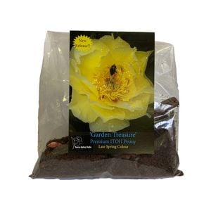 Yarra Valley Bulbs Peony Garden Treasure - 1 Bulb