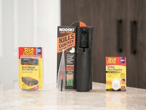 Rodent control products on a counter: mouse killer, rat trap, and pest repeller