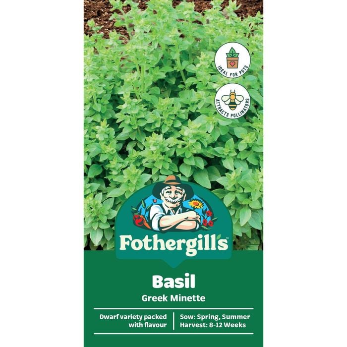 Fothergill's Basil Greek Minette - 300 Seeds