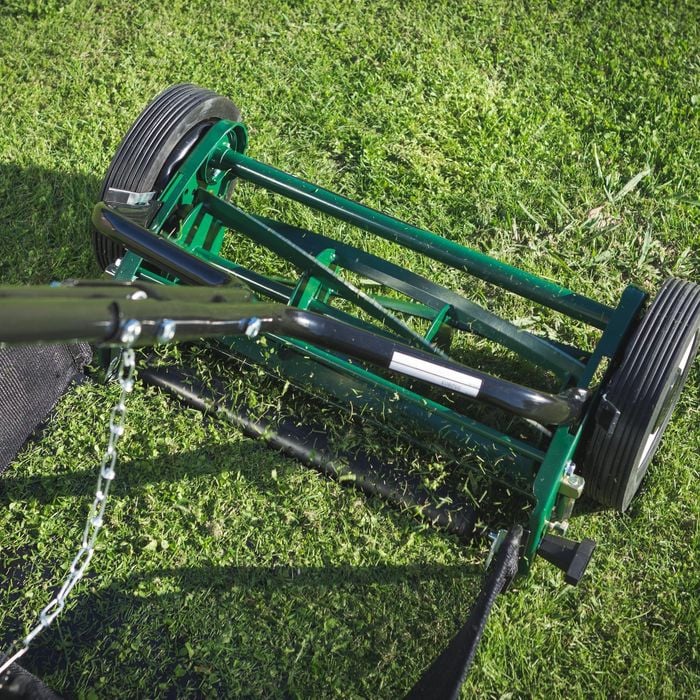 Roller mower bunnings sales
