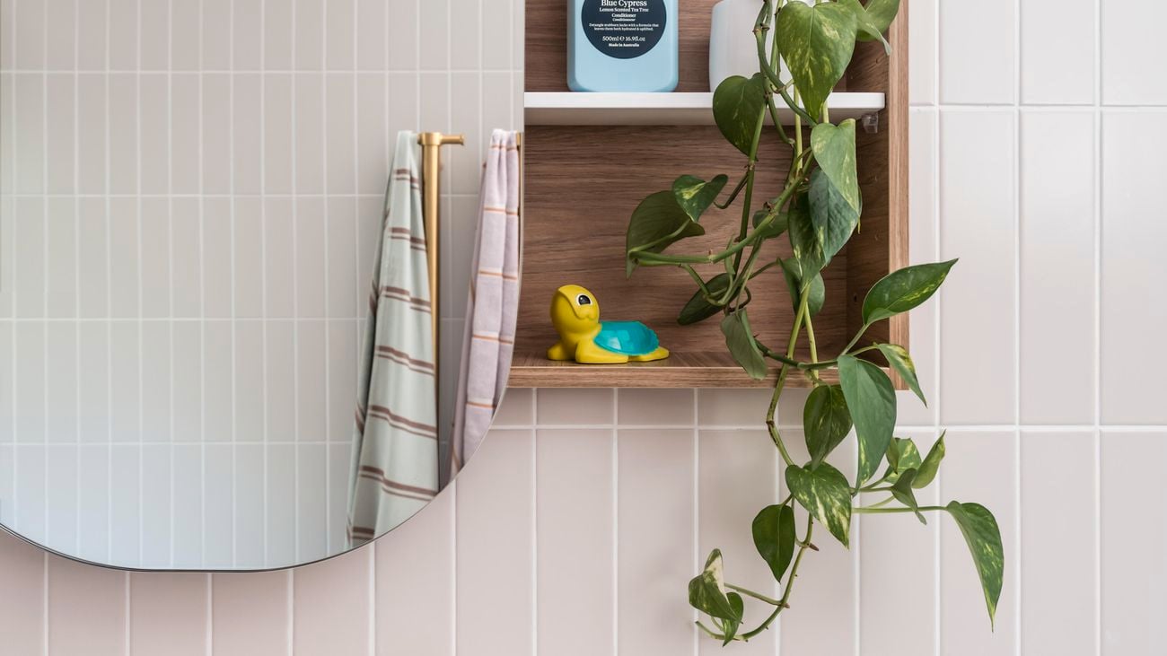 Bathroom vanity with an oval mirror, wood shelving holding skin products, a white sink with gold taps and a pot plant for decoration