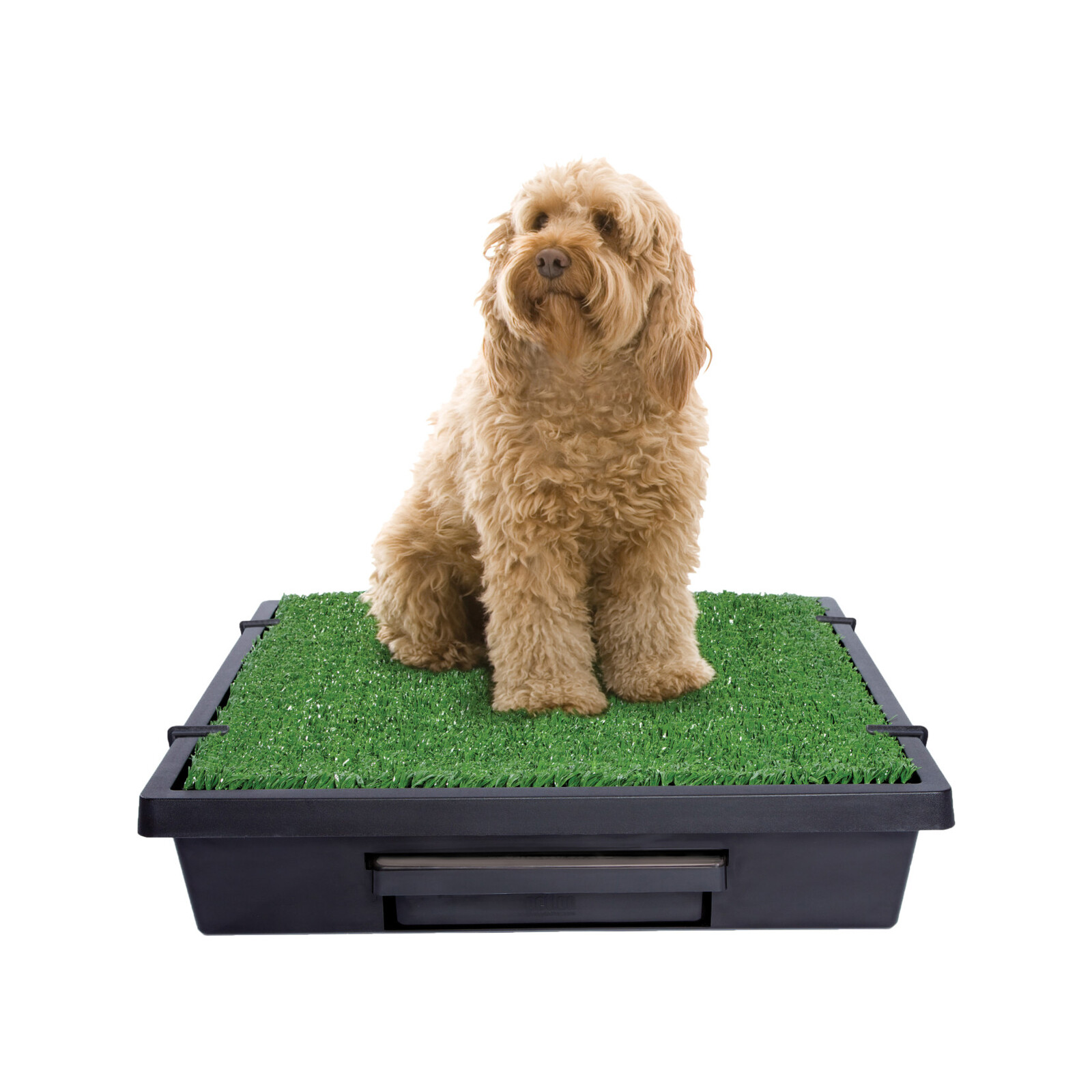 Dog grass toilet bunnings best sale