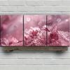 3pcs Pink Bubbles Modern Butterfly Print 100% Australian Made 3 x 40x60cm (Metal Print)