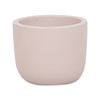11 x 9cm Cream XS Plain Ceramic Egg Pot