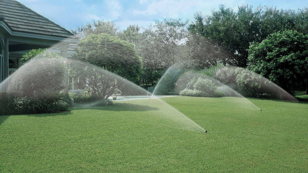 A network of pop-up sprinklers spray water over a lush, green lawn