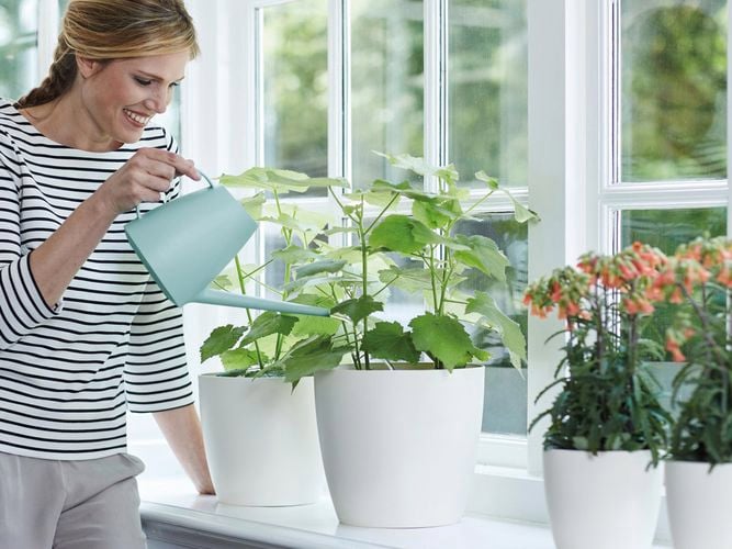 Indoor Pot white 0086556, 0086551, 0086546