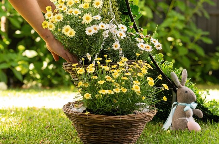 Adding flower basket to a garden arch display
