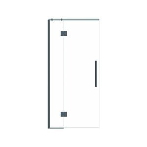 Stein 900 x 2000mm Gun Metal Project Shower - Door Only