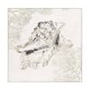 Artey | Silver Shell I - Stretched Canvas - Stretched Canvas - 120 x 120cm