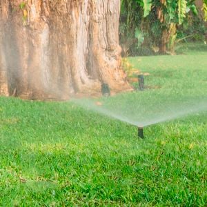 sprinklers on a lawn as header