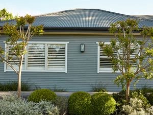 Exterior of a grey coloured weatherboard home with many plants and trees in front of it.