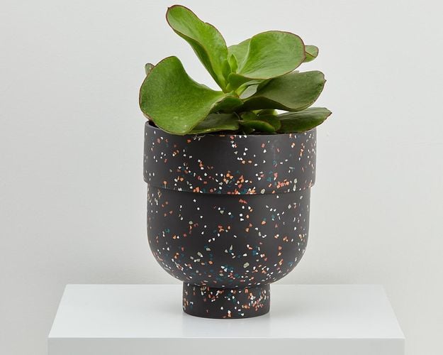 Funnel Pot - Terrazzo Dark Stone w plant