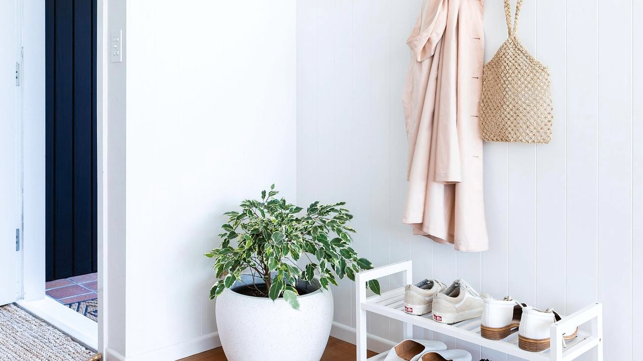 An entryway to a house. An indoor plant is next to a shoe rack and a panel of hooks attached to the wall above them with a coat and bag on it.