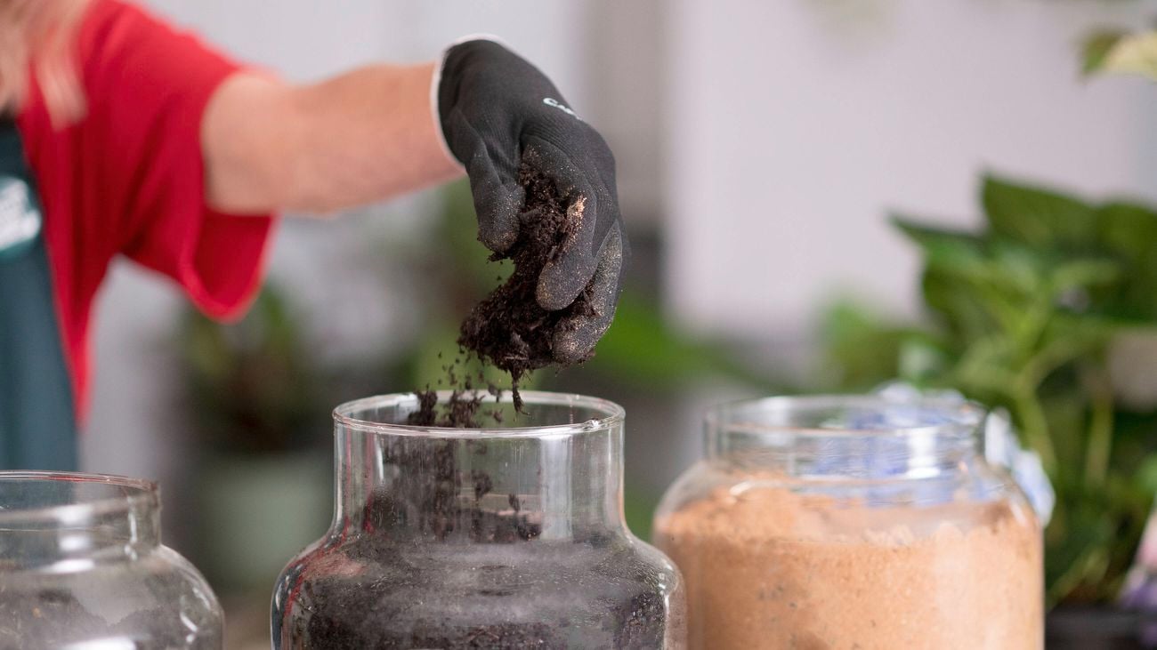 A hand is adding compost to the glass jar.