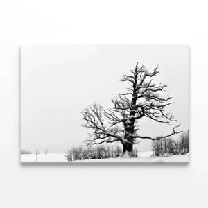 Oak Tree Winter  Print 100% Australian Made 120 x 90cm  (Stretched)