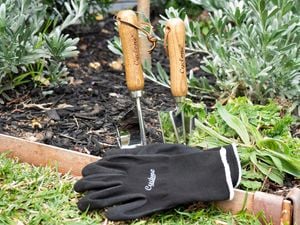 Richgro 70L Pine Bark Mulch