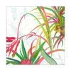 Artey | Tropical II - Stretched Canvas - Stretched Canvas - 50 x 50cm