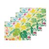 Ecology Market Garden Set of 4 Placemats 38x53cm