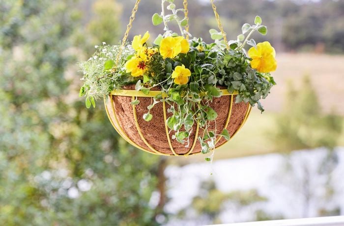 A yellow upcycled hanging planter