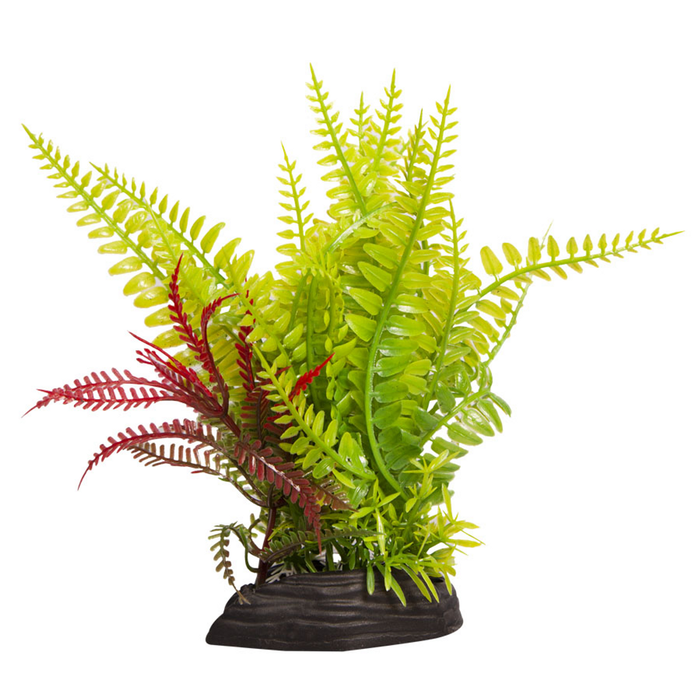 Aqua One Ecoscape Medium Liquorice Fern/fern Green (28255)