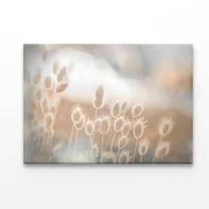 Sunny Meadow Faded  Print 100% Australian Made 150 x 100cm  (Acrylic)
