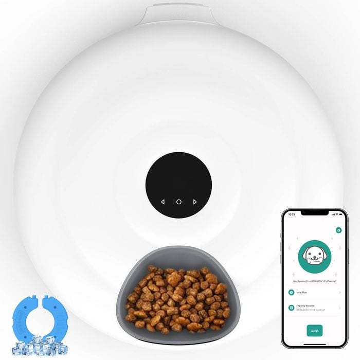 Advwin 6 Meal Automatic Pet Feeder APP Control Smart Dry & Wet Food