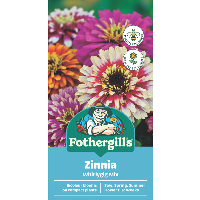 Fothergill's Zinnia Whirlygig Mixed Flower Seeds