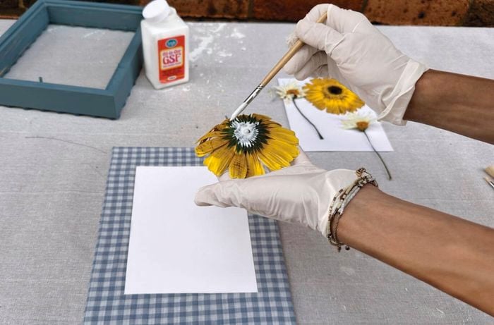 Hands wearing gloves, holding a sunflower and painting glue on the back