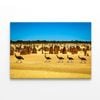The Pinnacles Desert Western Australia Emus Wildlife  Print 100% Australian Made 90 x 60cm  (Stretched)