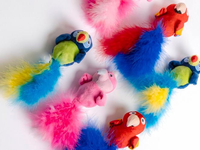 P&C
  Rattle Belly Cat Toy