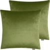 Velvet Square Cushion Cover 2pcs Pack - Olive Green