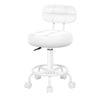 Alfordson Salon Stool Backrest Swivel Barber Hair Dress Chair Riley All White