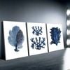 3 Set of Marine Plants  Print 100% Australian Made 3 x 40x60cm  (Stretched)