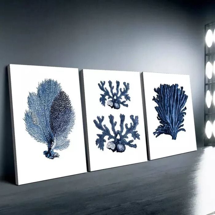 3 Set of Marine Plants  Print 100% Australian Made 3 x 40x60cm  (Stretched)