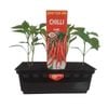 Punnet Chilli Fire - Grow Your Own Range