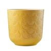 Borralheira 200mm Yellow Palm Indoor Ceramic Pot